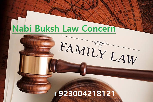 About NBLC Law Firm Family Law Practice